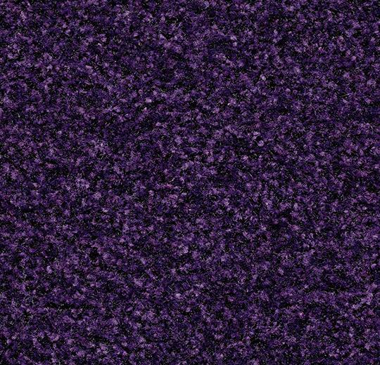 Coral Brush 5709 royal purple